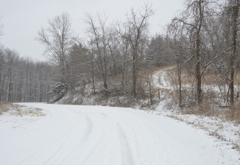 Saline Valley Wildlife Conservation roads in the winter, winding through the woods.