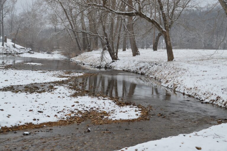 River in winter in the Saline Valley Wildlife Conservation Area