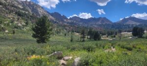 Ruby Mountain Wilderness