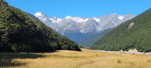 Ruataniwha Conservation Park