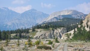 Kluane National Park