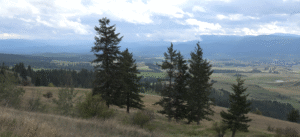 Kootenai Woods Ranch