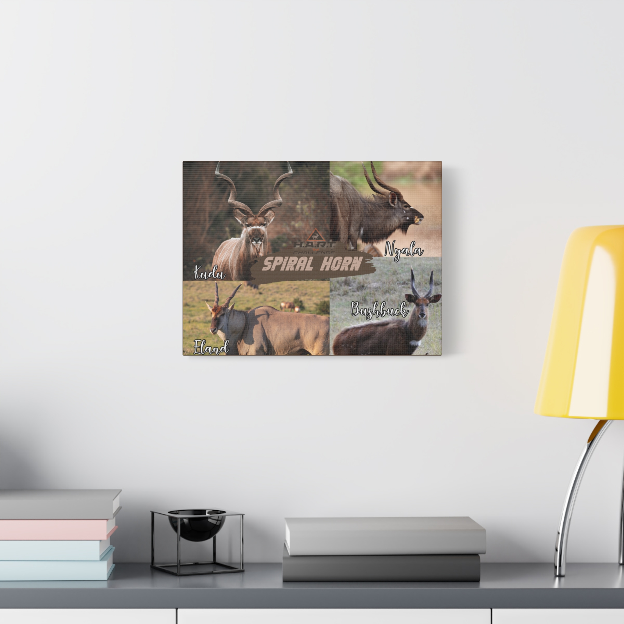 Spiral Horn H.A.R.T Challenge Shot Board - Image 3