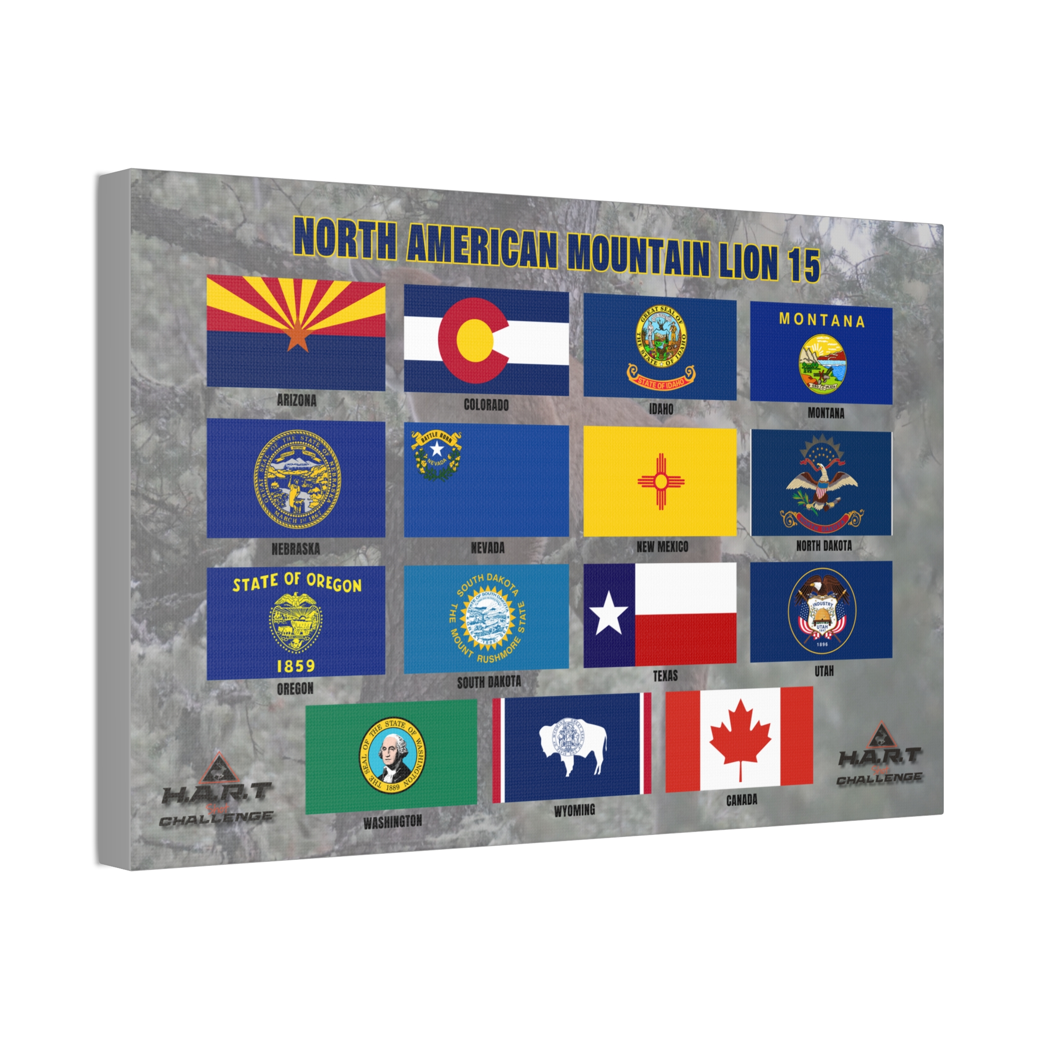 North American Mountain Lion 15 H.A.R.T Challenge Shot Board - Image 2