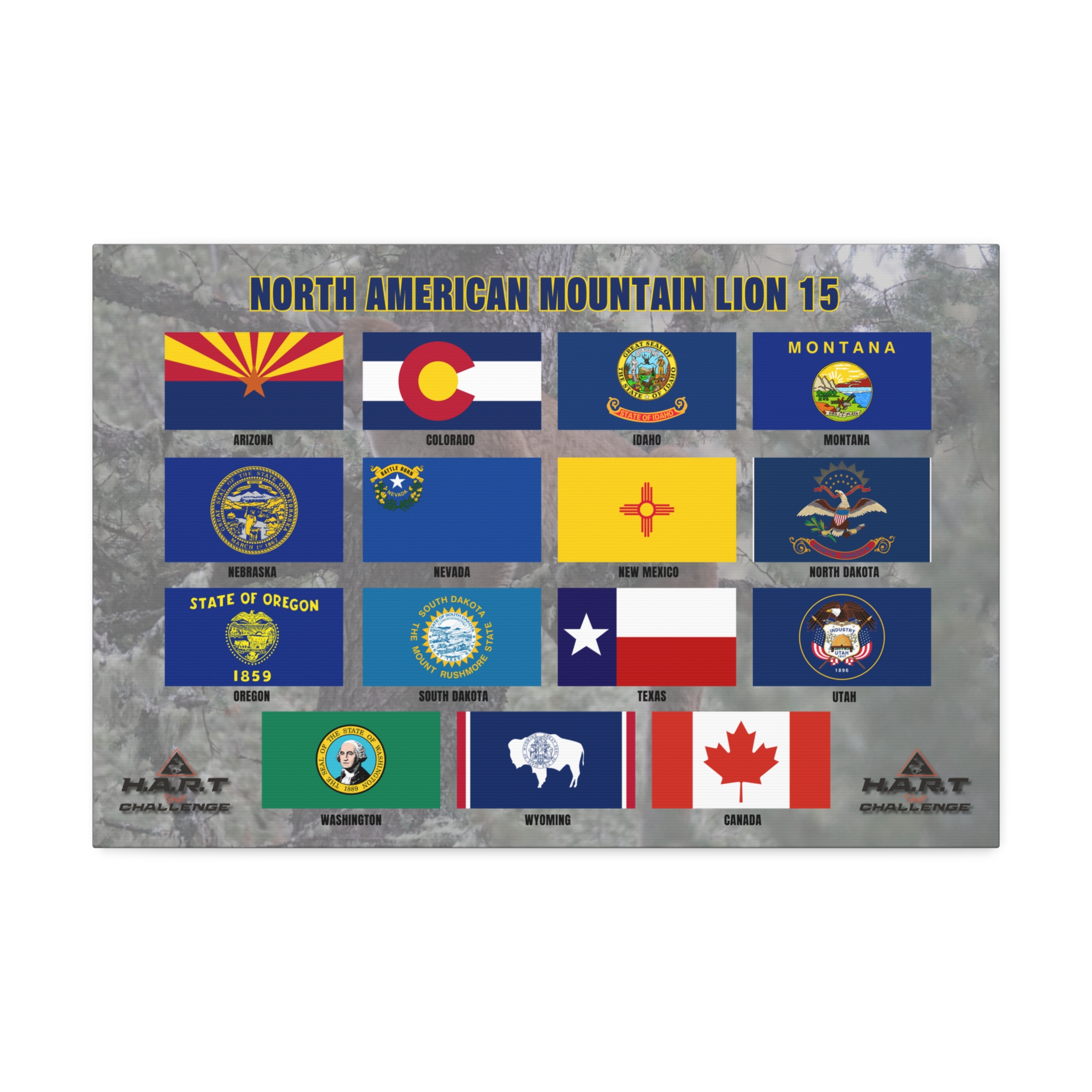 North American Mountain Lion 15 H.A.R.T Challenge Shot Board